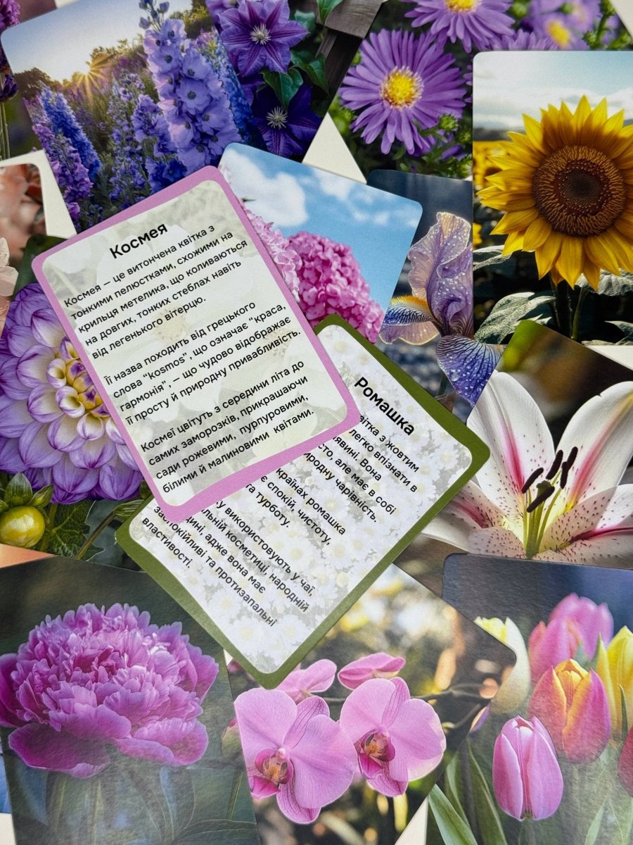 Квіти - Education Cards