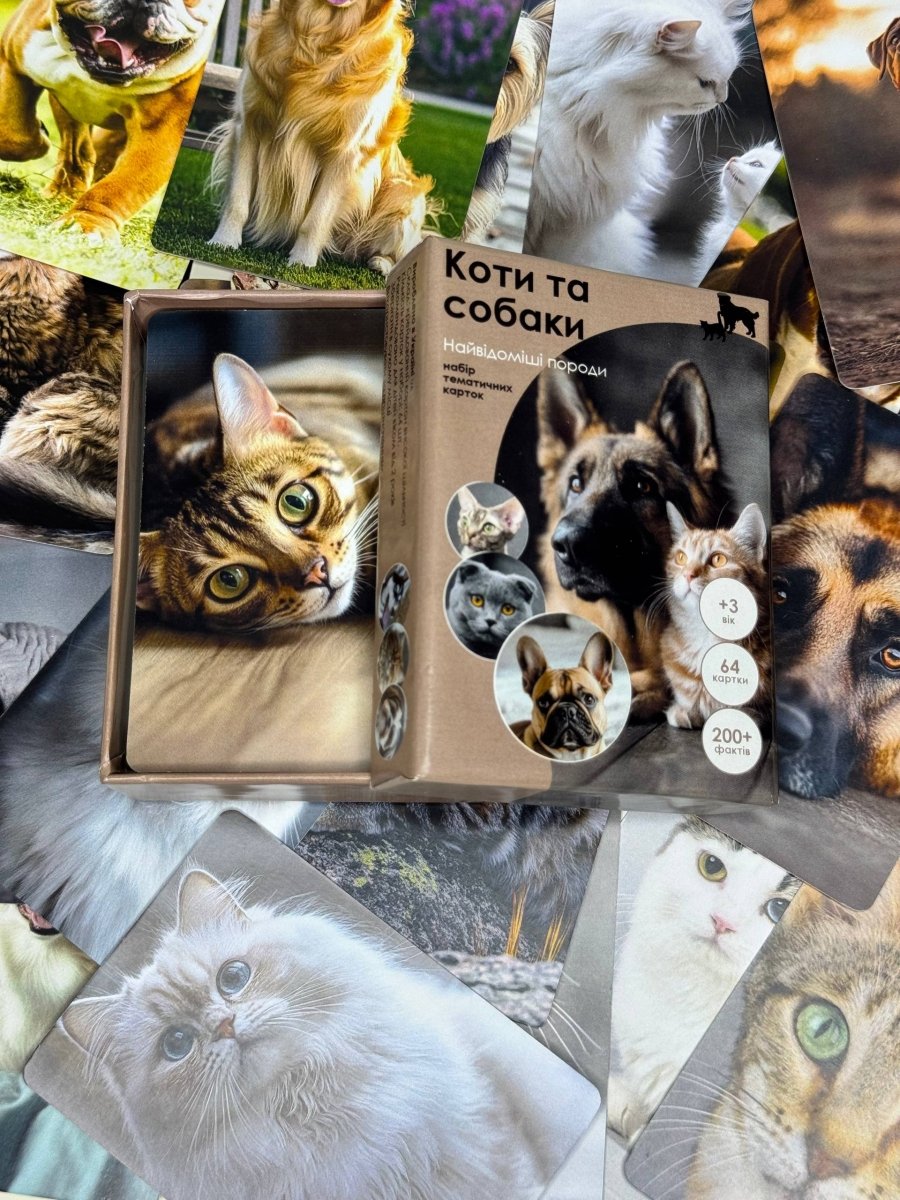 Коти та собаки - Education Cards