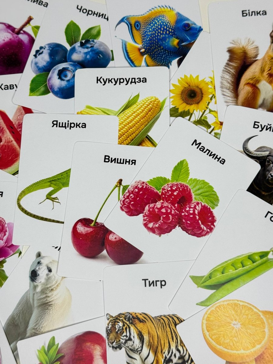 100 перших слів + розмальовки - Education Cards