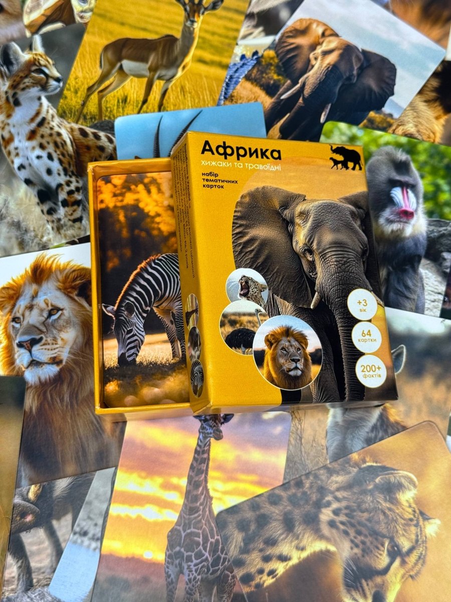 Африка - Education Cards